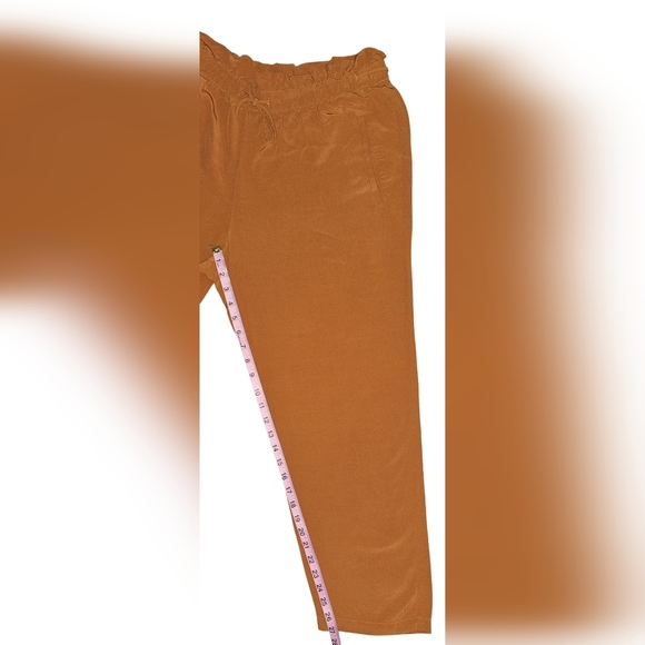 Eileen Fisher Rust Crepe Tencel Pants Ankle Drawstring Comfort Sz M - Picture 12 of 15